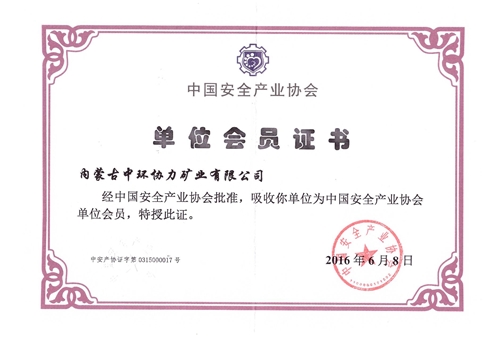 中国安全产业协会会员证书